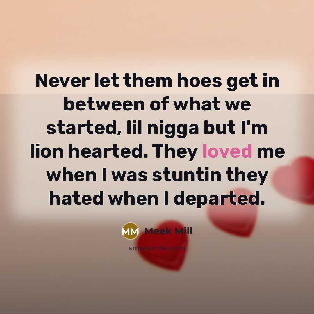“Never let them hoes get in between of what we started, lil nigga but I'm lion hearted. They loved me when I was stuntin they hated when I departed.” quote by Meek Mill