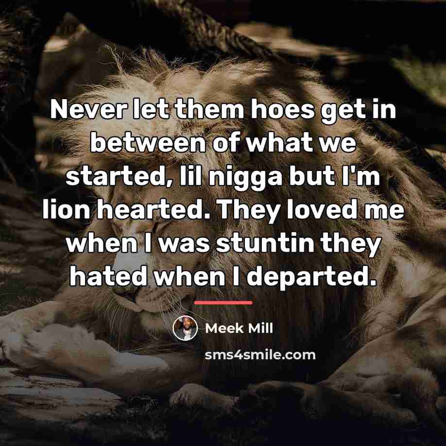 “Never let them hoes get in between of what we…” quote by Meek Mill