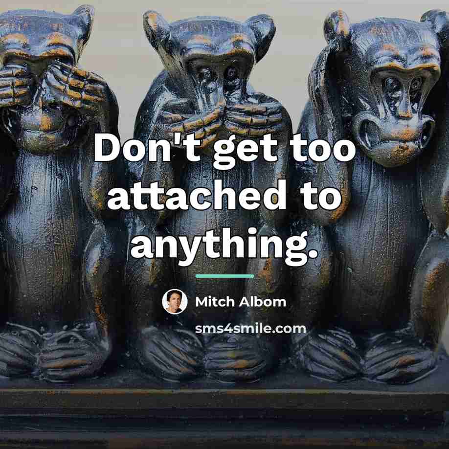 “Don't get too attached to anything.…” quote by Mitch Albom