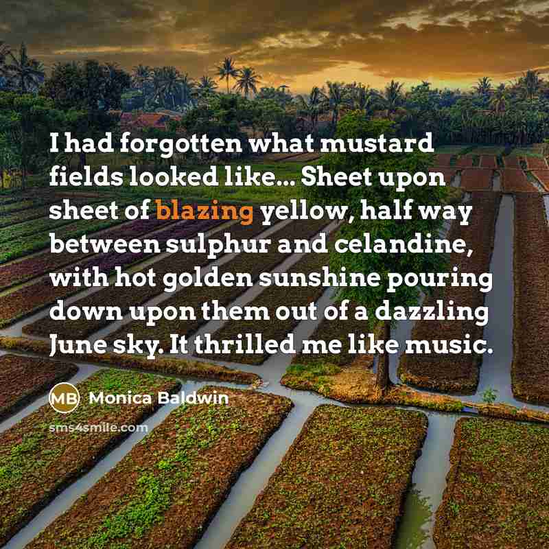 “I had forgotten what mustard fields looked like... Sheet upon…” quote by Monica Baldwin