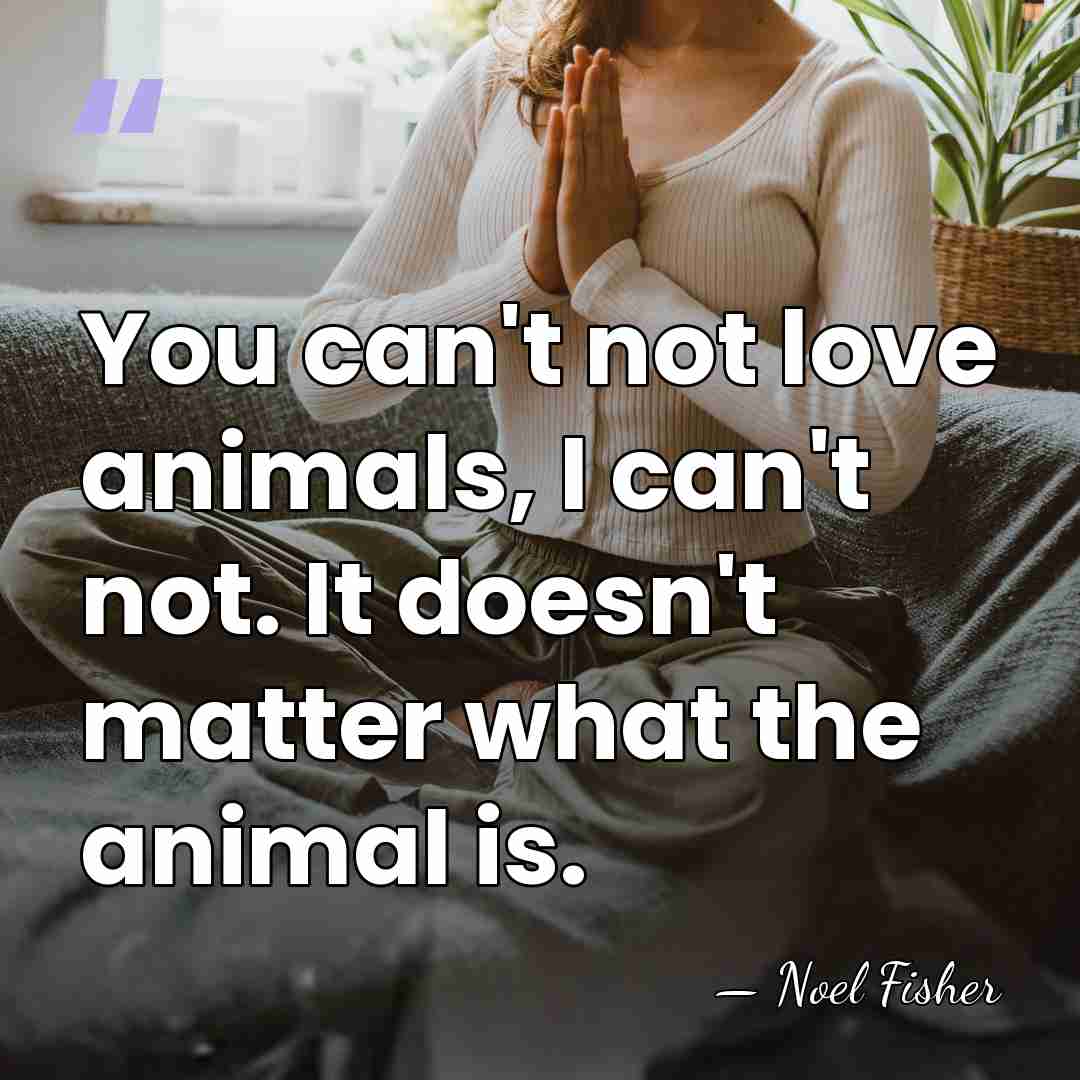 You can't not love animals, I can't not. It doesn't matter what&hellip; - Noel Fisher