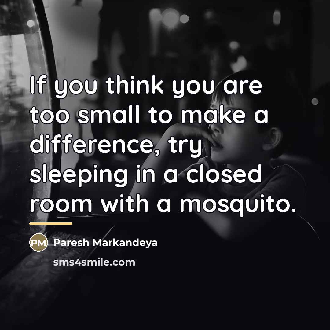 “If you think you are too small to make a…” quote by Paresh Markandeya