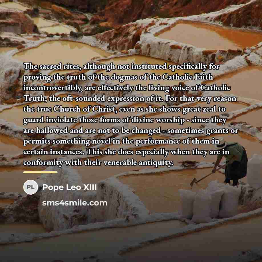 “The sacred rites, although not instituted specifically for proving the…” quote by Pope Leo XIII