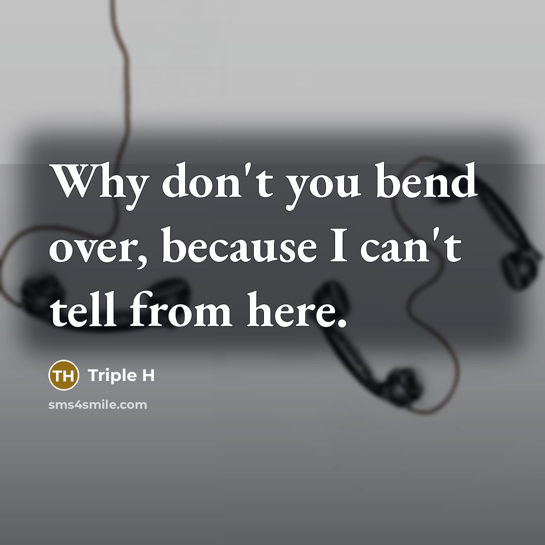 “Why don't you bend over, because I can't tell from…” quote by Triple H