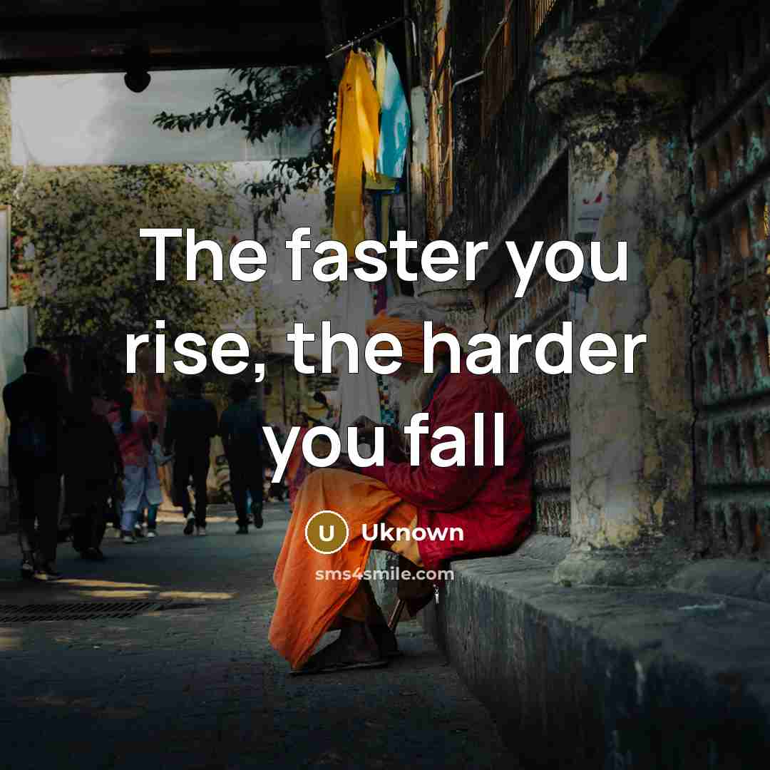 “The faster you rise, the harder you fall…” quote by Uknown