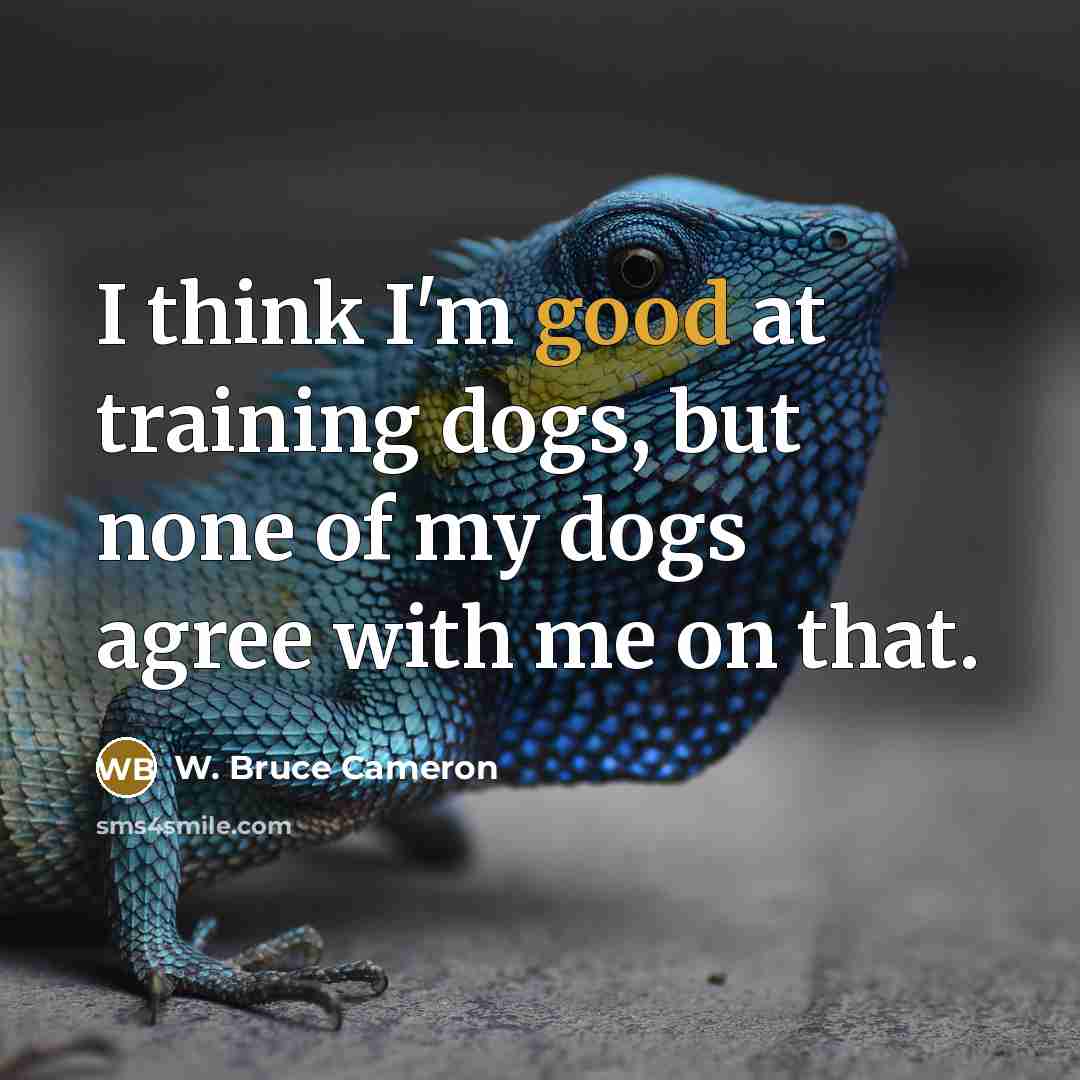 “I think I'm good at training dogs, but none of my dogs agree with me on that.” quote by W. Bruce Cameron