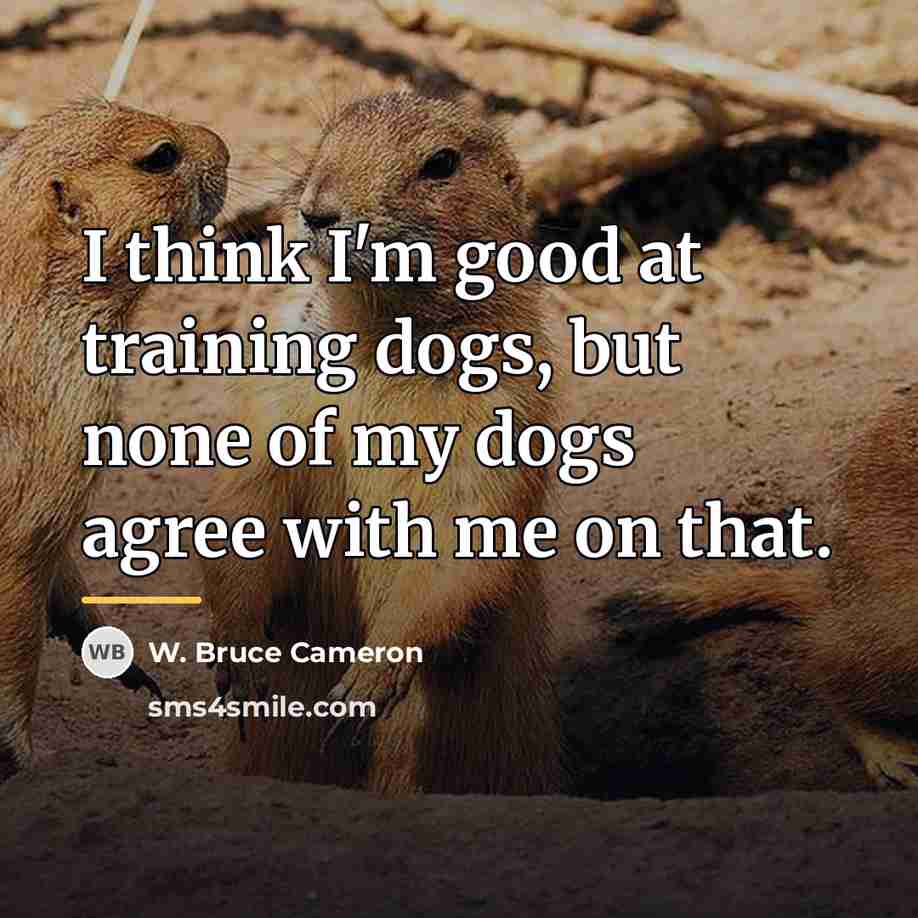 “I think I'm good at training dogs, but none of…” quote by W. Bruce Cameron