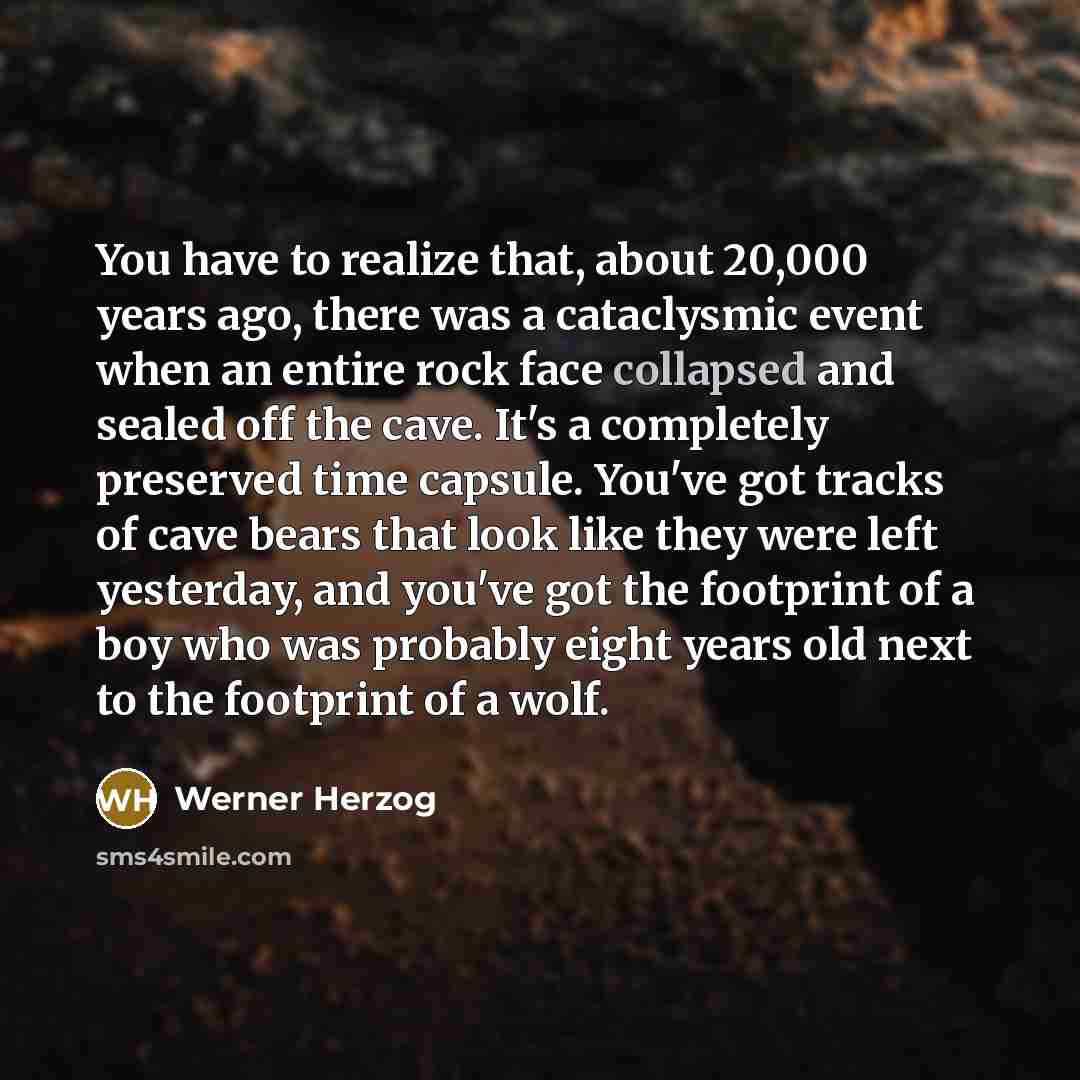 “You have to realize that, about 20,000 years ago, there…” quote by Werner Herzog