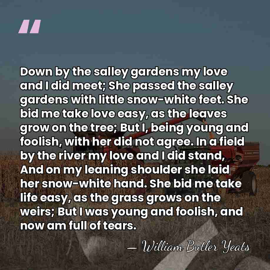 Down by the salley gardens my love and I did meet; She&hellip; - William Butler Yeats