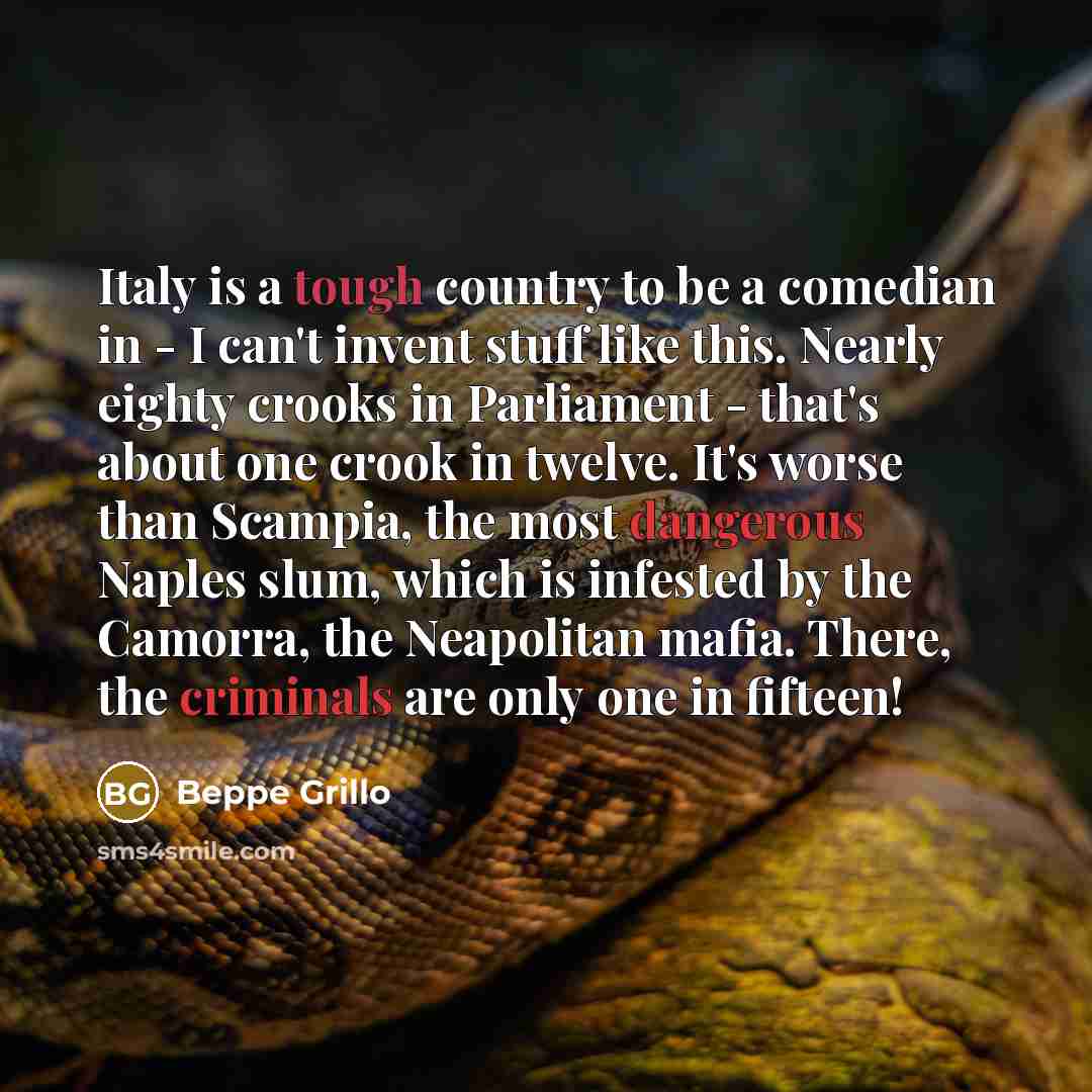 “Italy is a tough country to be a comedian in - I can't invent stuff like this. Nearly eighty crooks in Parliament - that's about one crook in twelve. It's worse than Scampia, the most dangerous Naples slum, which is infested by the Camorra, the Neapolitan mafia. There, the criminals are only one…” quote by Beppe Grillo