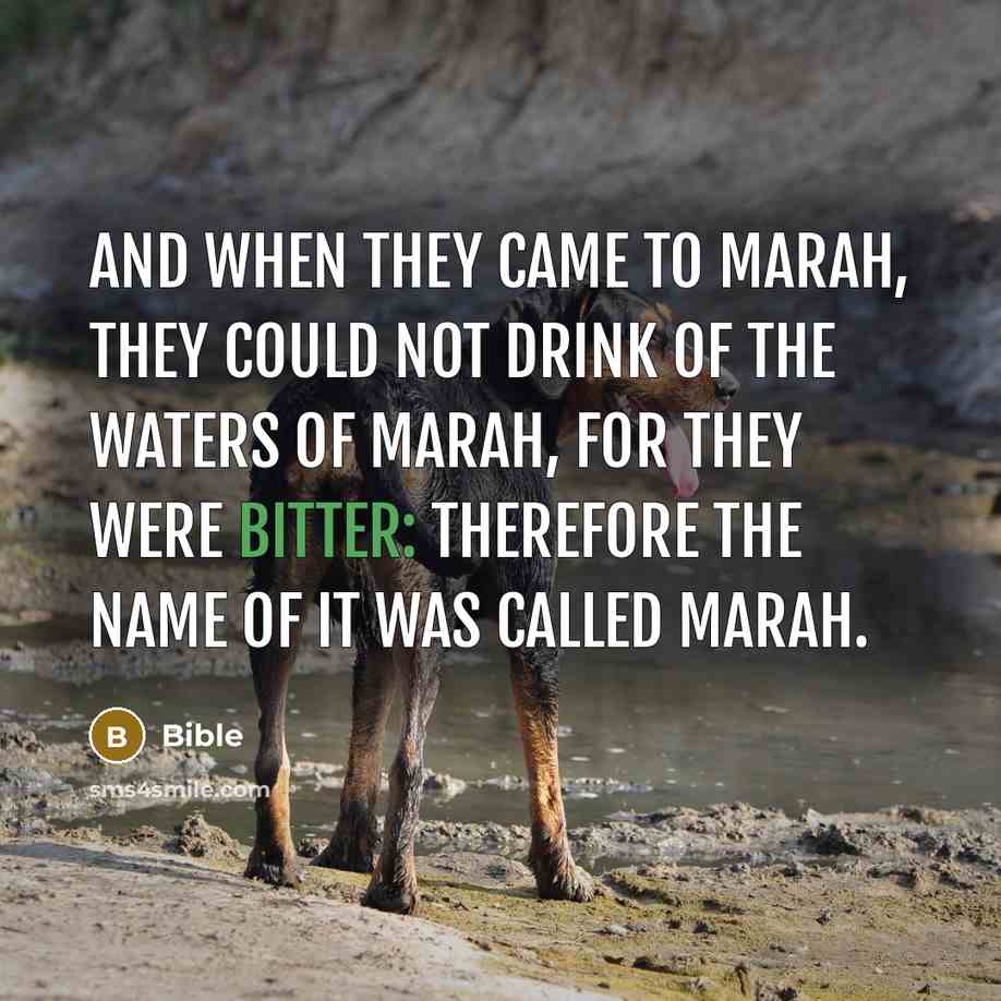 “And when they came to Marah, they could not drink…” quote by Bible