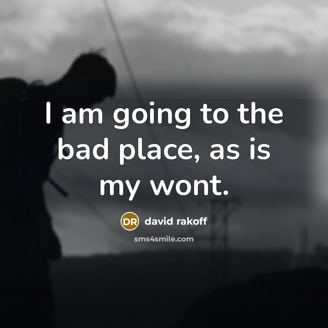 “I am going to the bad place, as is my…” quote by David Rakoff