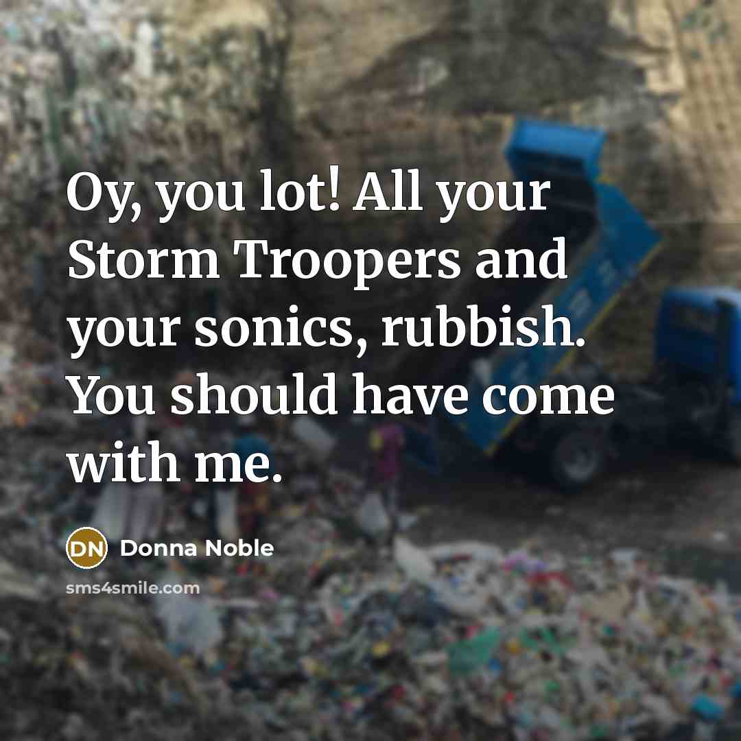 “Oy, you lot! All your Storm Troopers and your sonics, rubbish. You should have come with me.” quote by Donna Noble