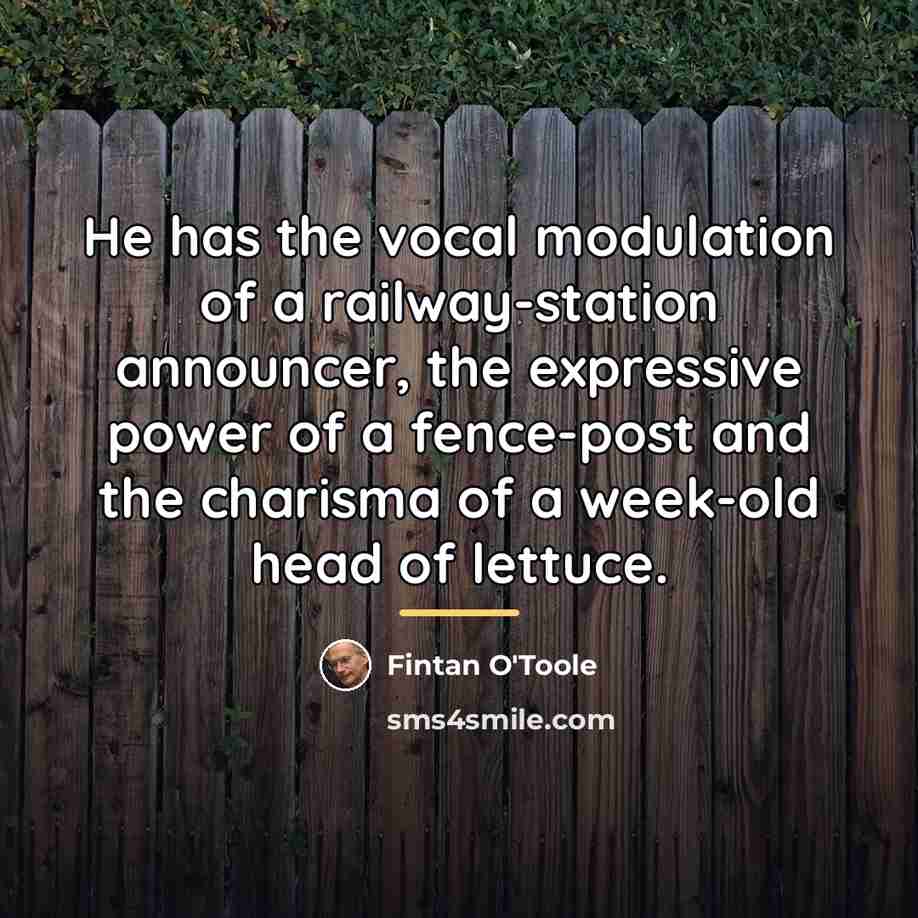 “He has the vocal modulation of a railway-station announcer, the…” quote by Fintan O'Toole