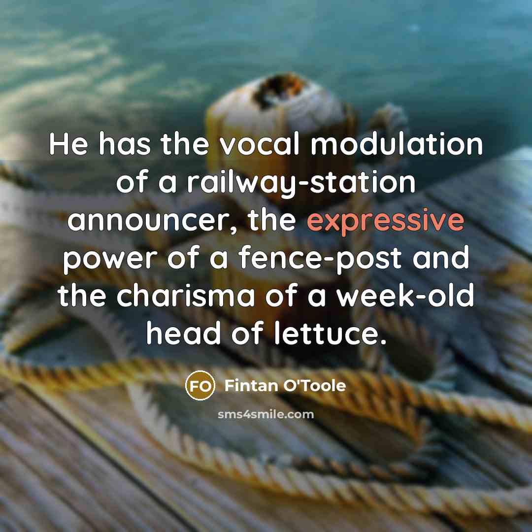 “He has the vocal modulation of a railway-station announcer, the expressive power of a fence-post and the charisma of a week-old head of lettuce.” quote by Fintan O'Toole
