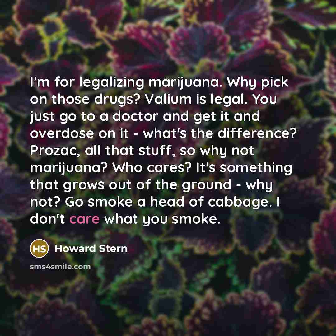 “I'm for legalizing marijuana. Why pick on those drugs? Valium…” quote by Howard Stern