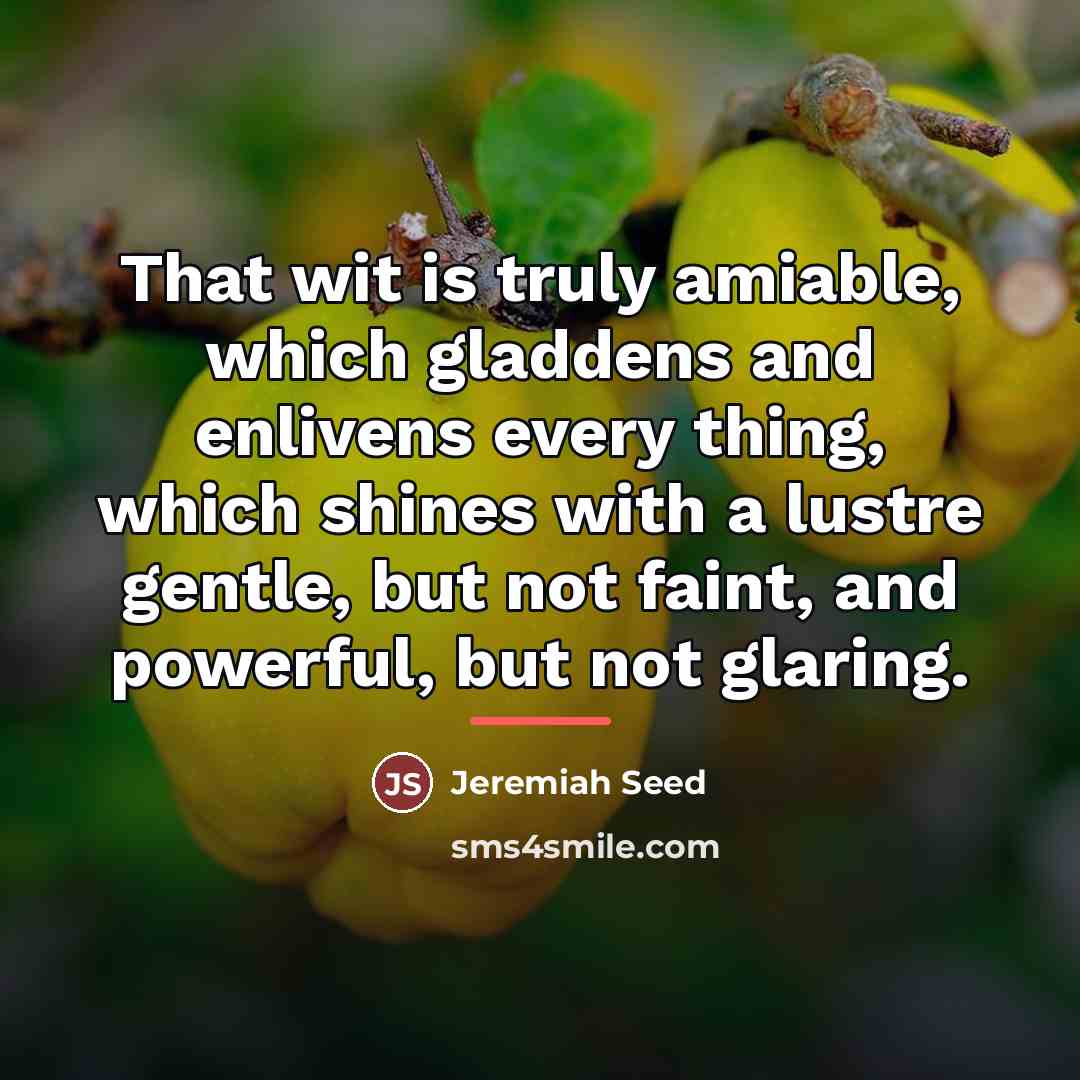 “That wit is truly amiable, which gladdens and enlivens every…” quote by Jeremiah Seed