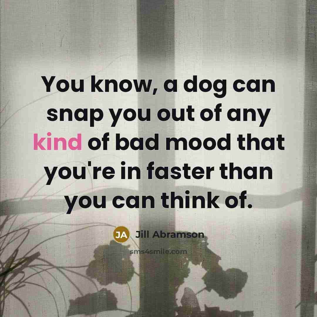 “You know, a dog can snap you out of any…” quote by Jill Abramson