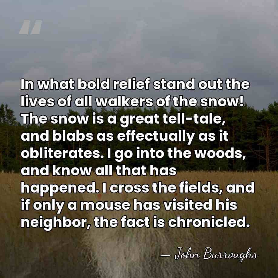 In what bold relief stand out the lives of all walkers of&hellip; - John Burroughs