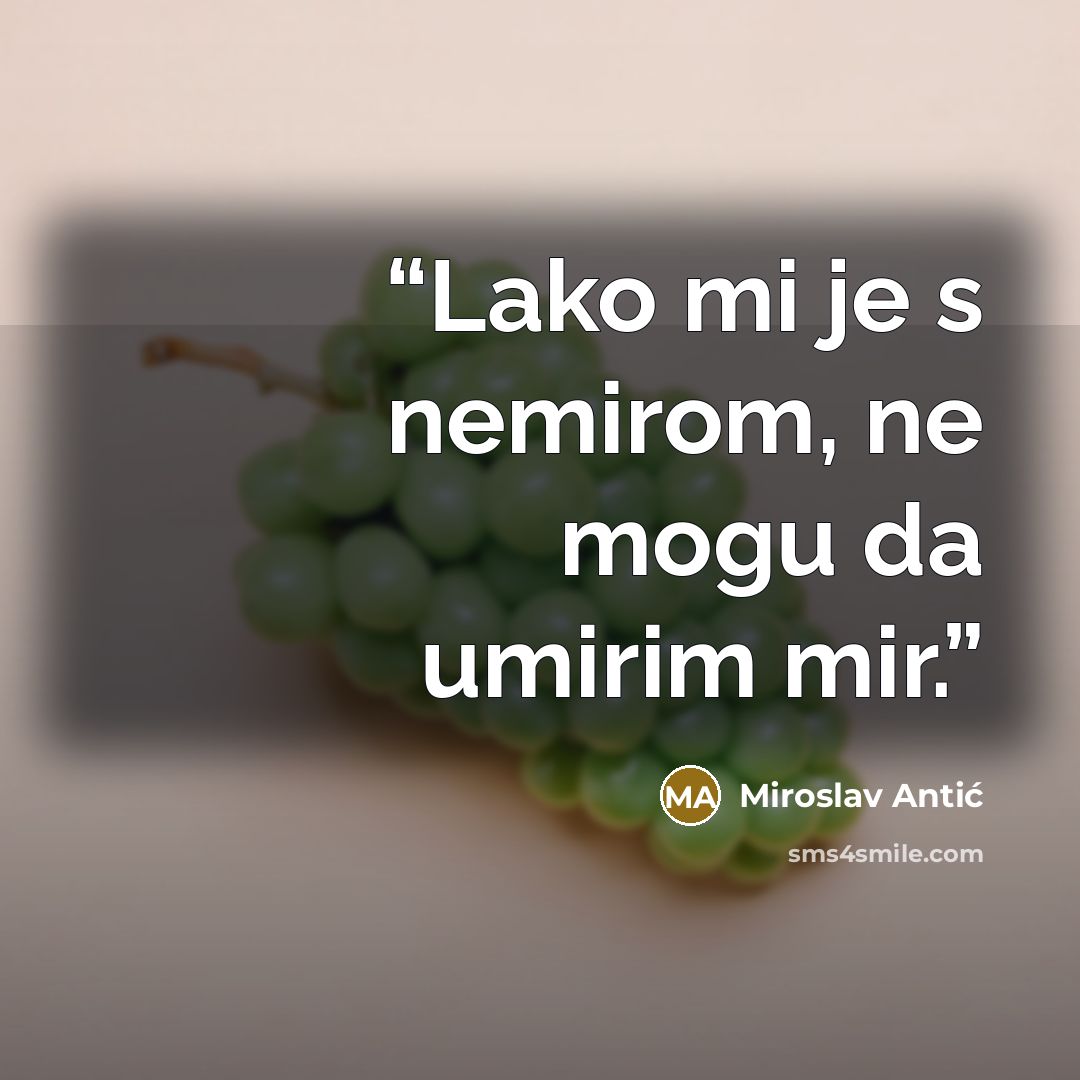 “Lako mi je s nemirom, ne mogu da umirim mir.” quote by Miroslav Antić