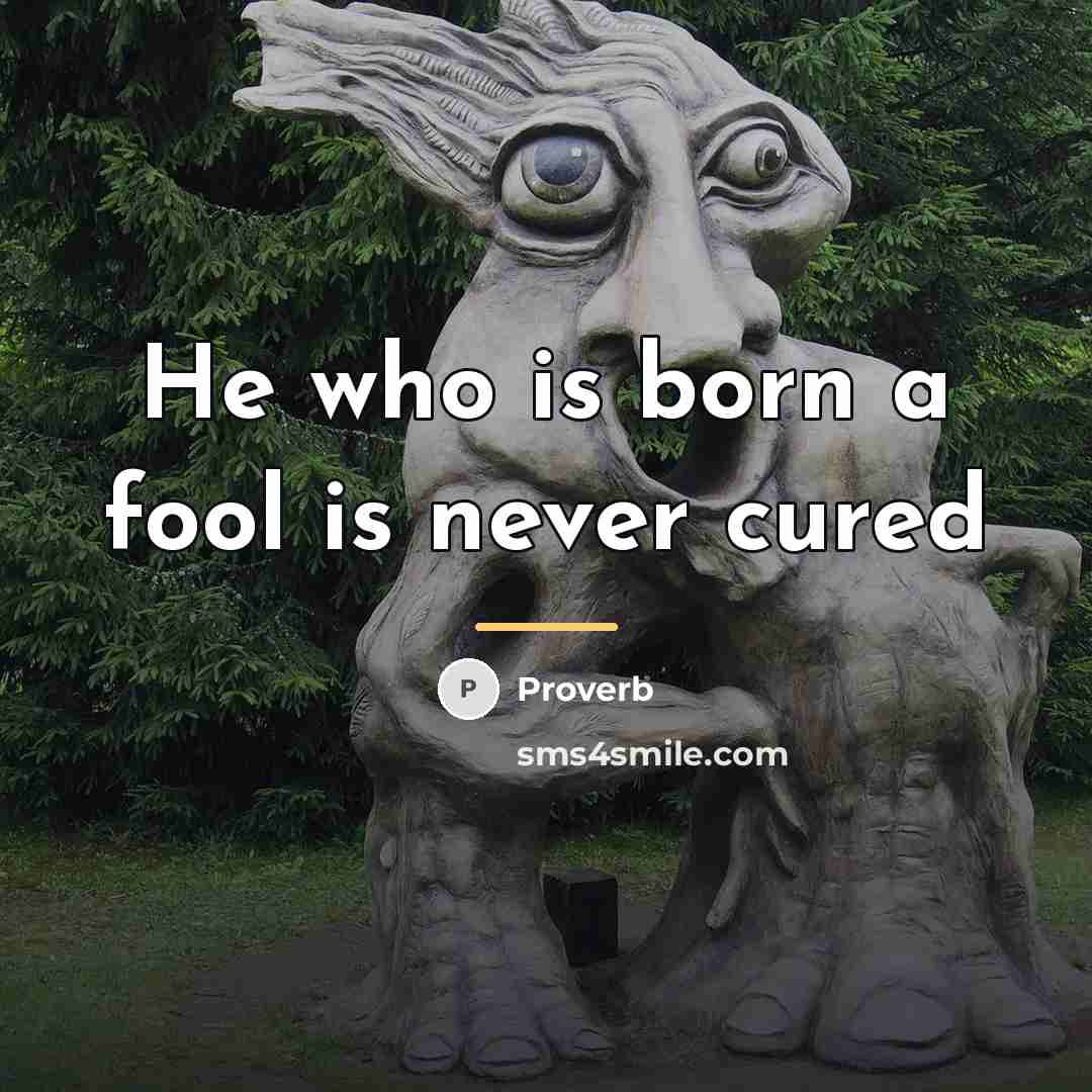 “He who is born a fool is never cured…” quote by Proverb