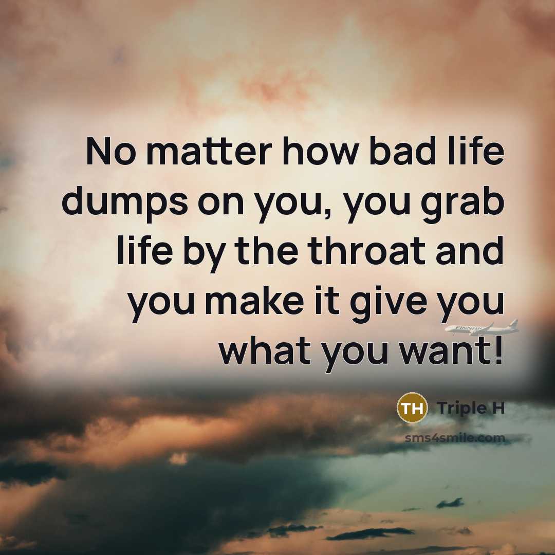 “No matter how bad life dumps on you, you grab…” quote by Triple H