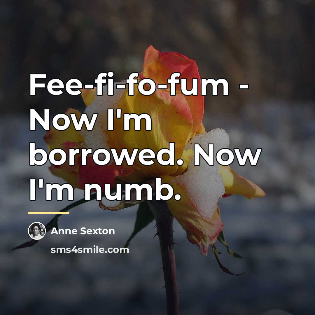 “Fee-fi-fo-fum - Now I'm borrowed. Now I'm numb.…” quote by Anne Sexton