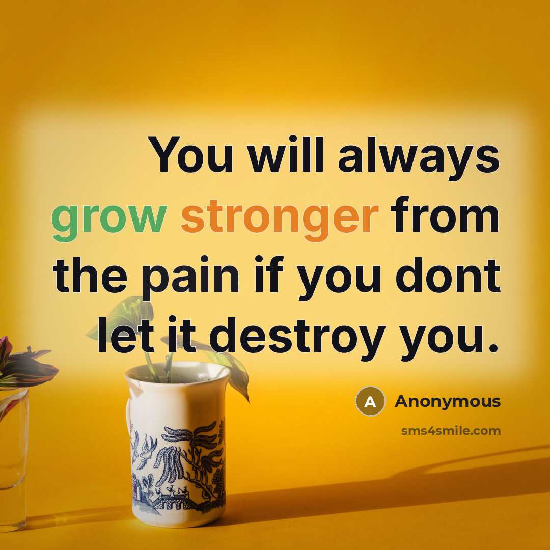“You will always grow stronger from the pain if you dont let it destroy you.” quote by Anonymous