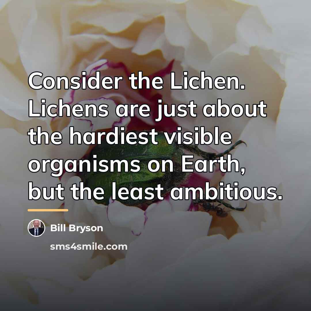 “Consider the Lichen. Lichens are just about the hardiest visible…” quote by Bill Bryson