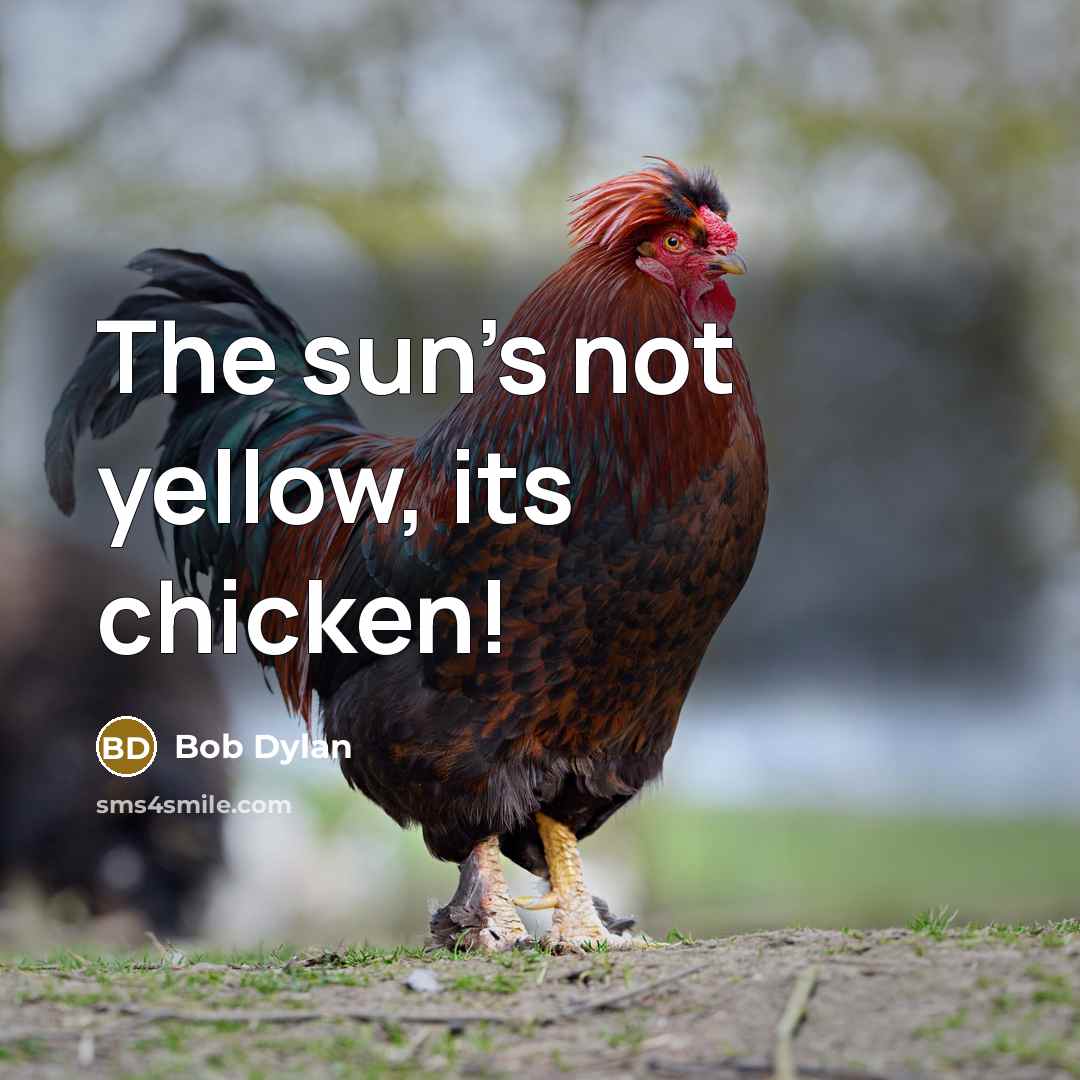 “The sun's not yellow, its chicken!…” quote by Bob Dylan