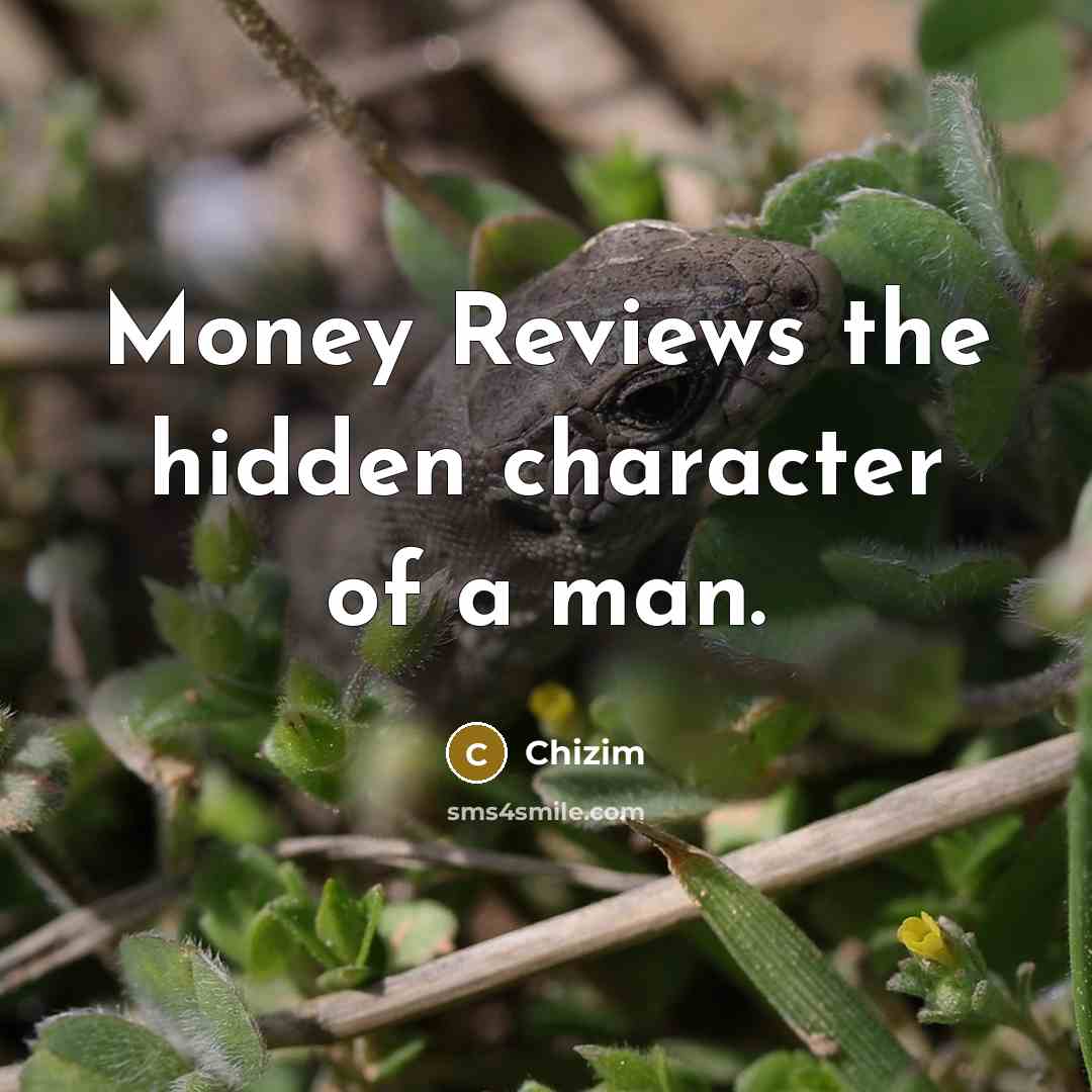 “Money Reviews the hidden character of a man.…” quote by Chizim