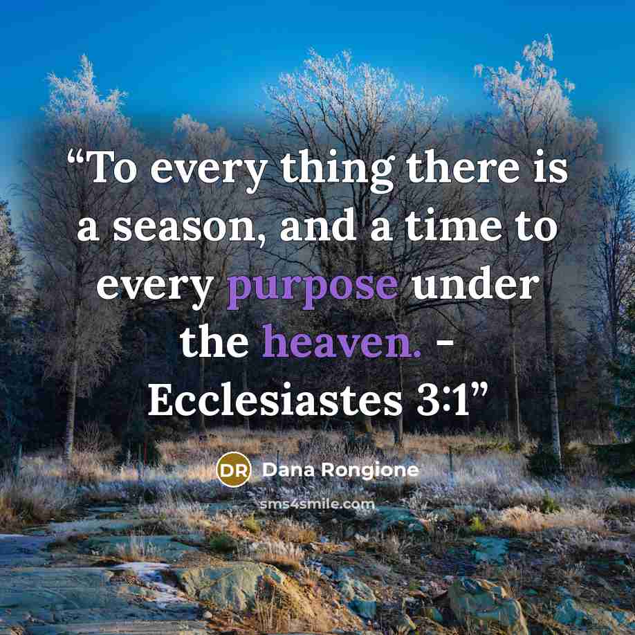 “To every thing there is a season, and a time to every purpose under the heaven. - Ecclesiastes 3:1” quote by Dana Rongione
