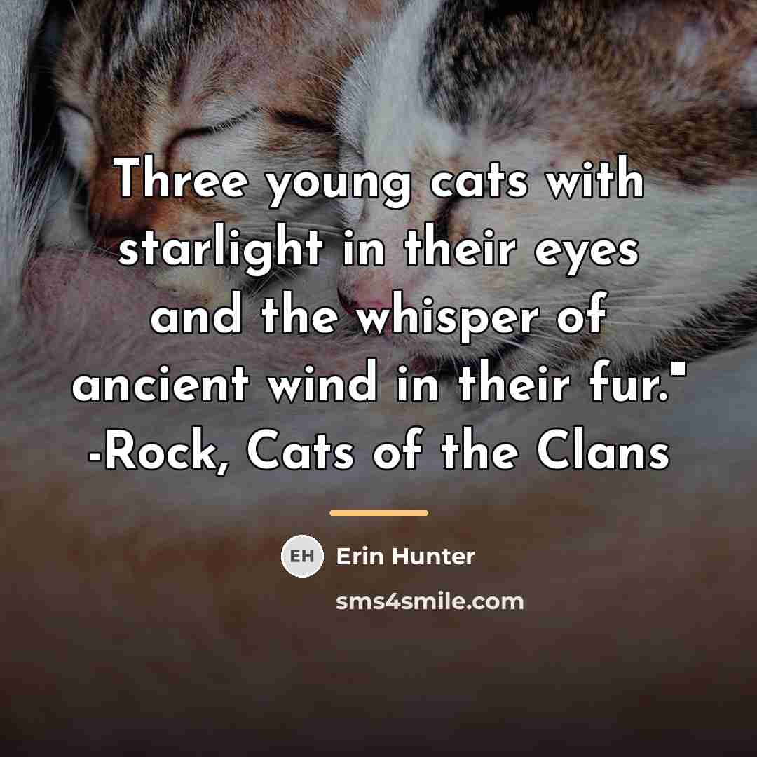 “Three young cats with starlight in their eyes and the…” quote by Erin Hunter