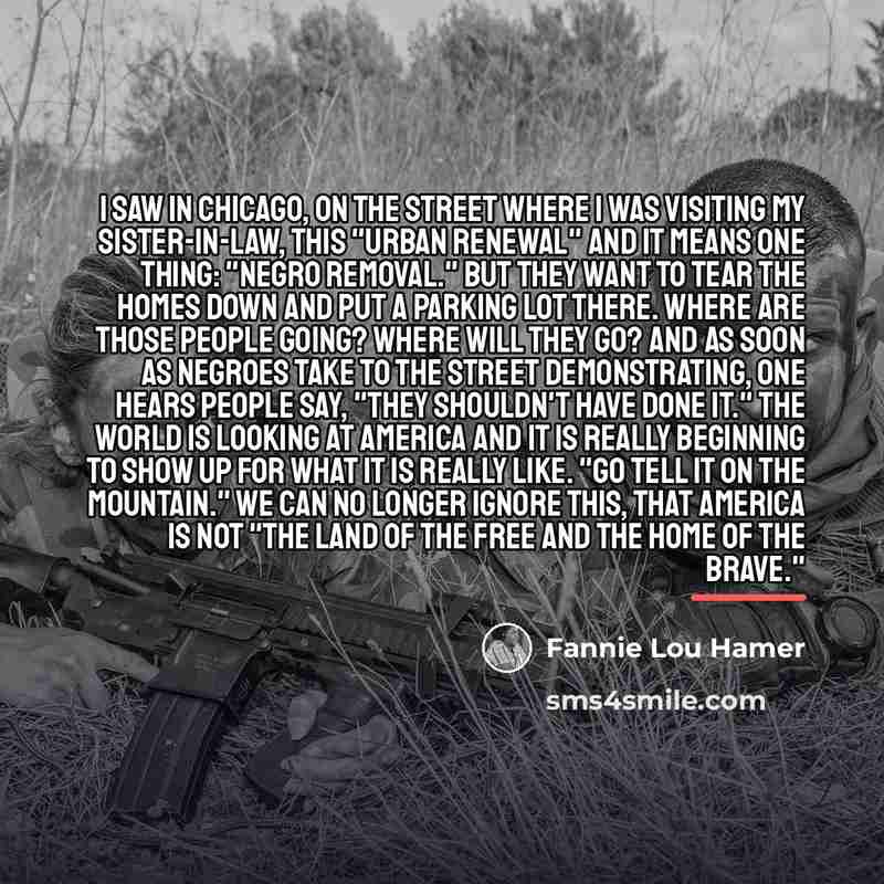 “I saw in Chicago, on the street where I was…” quote by Fannie Lou Hamer