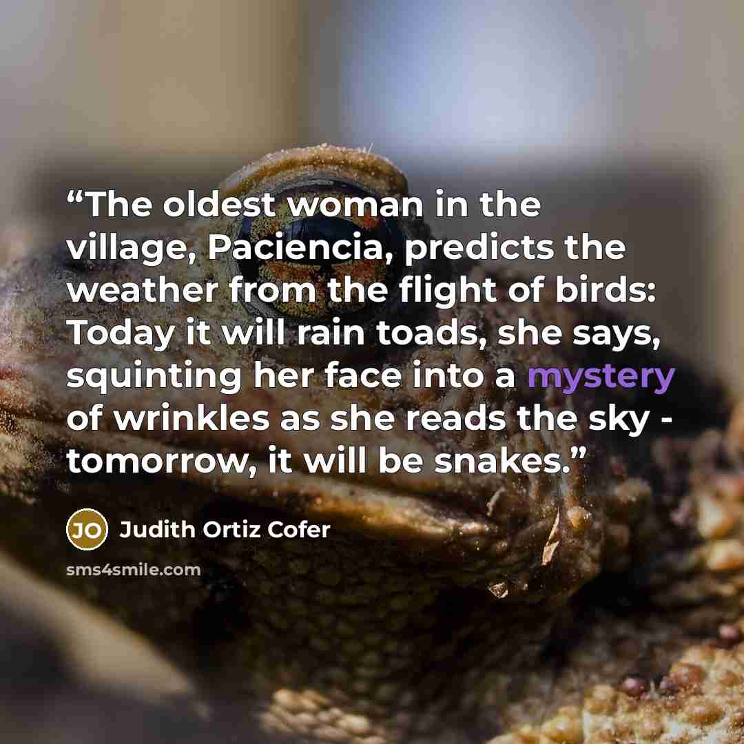 “The oldest woman in the village, Paciencia, predicts the weather from the flight of birds: Today it will rain toads, she says, squinting her face into a mystery of wrinkles as she reads the sky - tomorrow, it will be snakes.” quote by Judith Ortiz Cofer