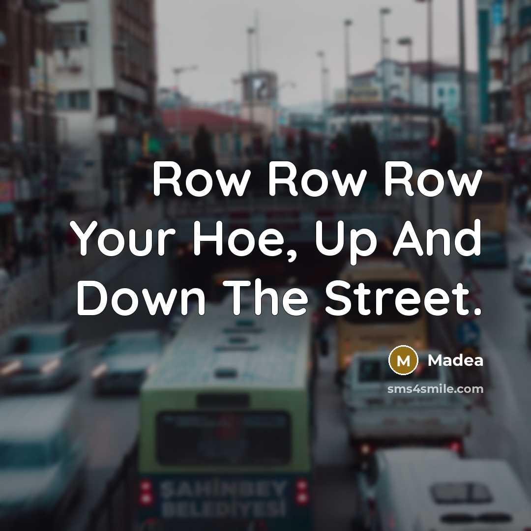 “Row Row Row Your Hoe, Up And Down The Street.” quote by Madea