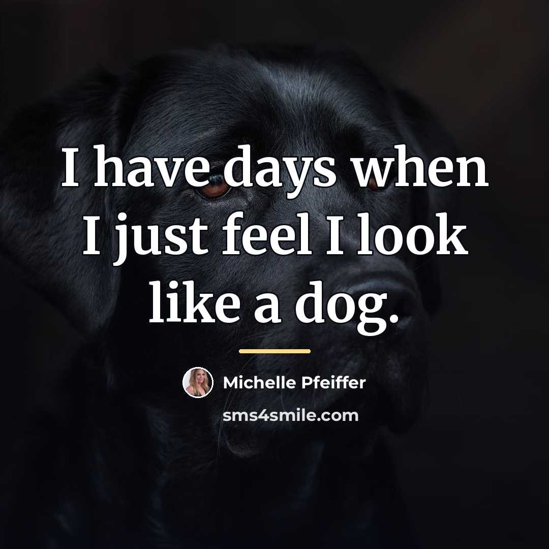 “I have days when I just feel I look like…” quote by Michelle Pfeiffer