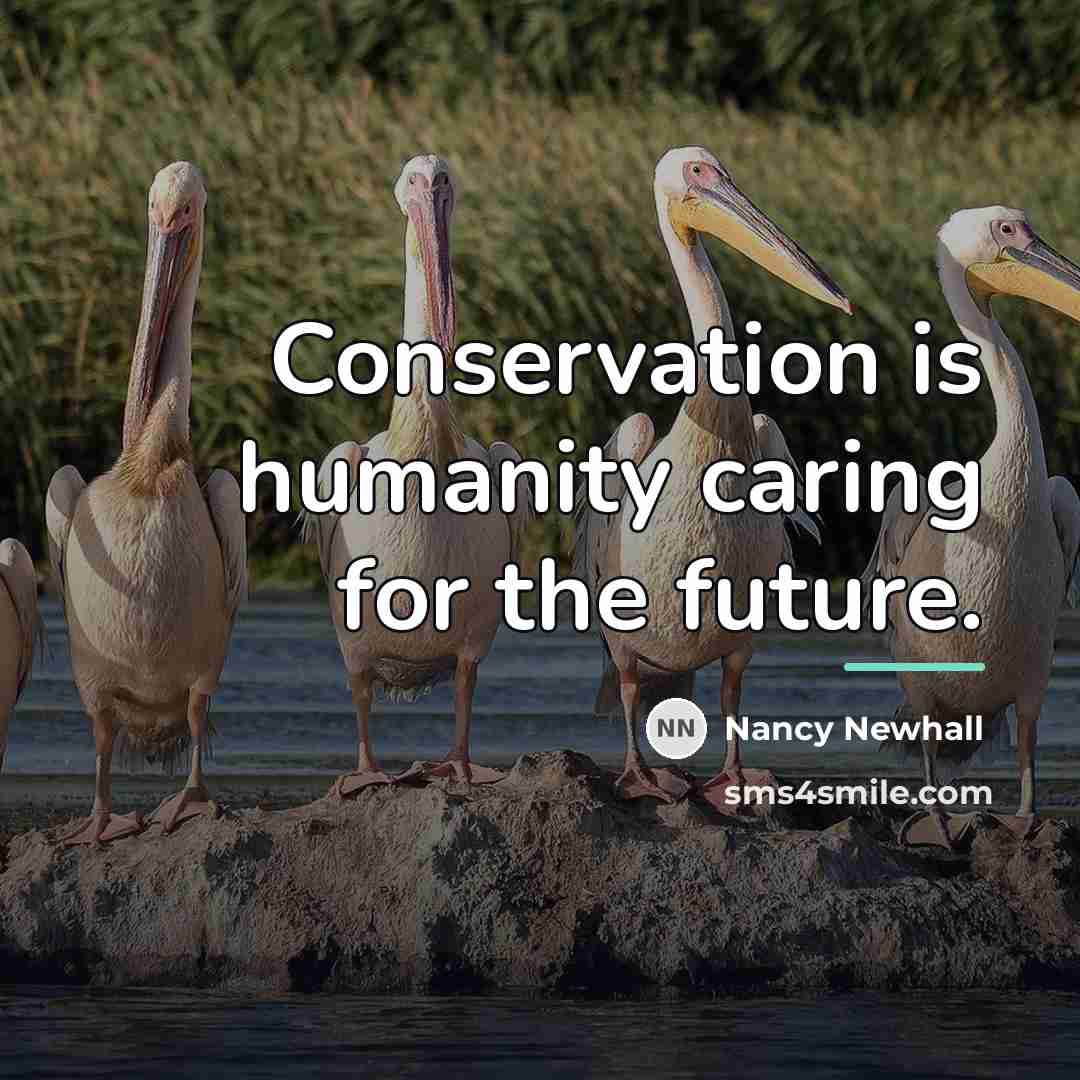 “Conservation is humanity caring for the future.…” quote by Nancy Newhall