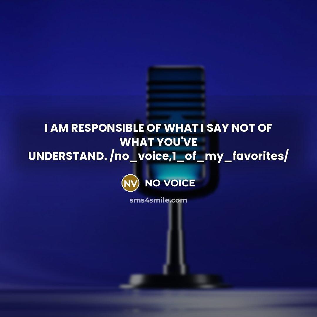 “I AM RESPONSIBLE OF WHAT I SAY NOT OF WHAT…” quote by NO VOICE