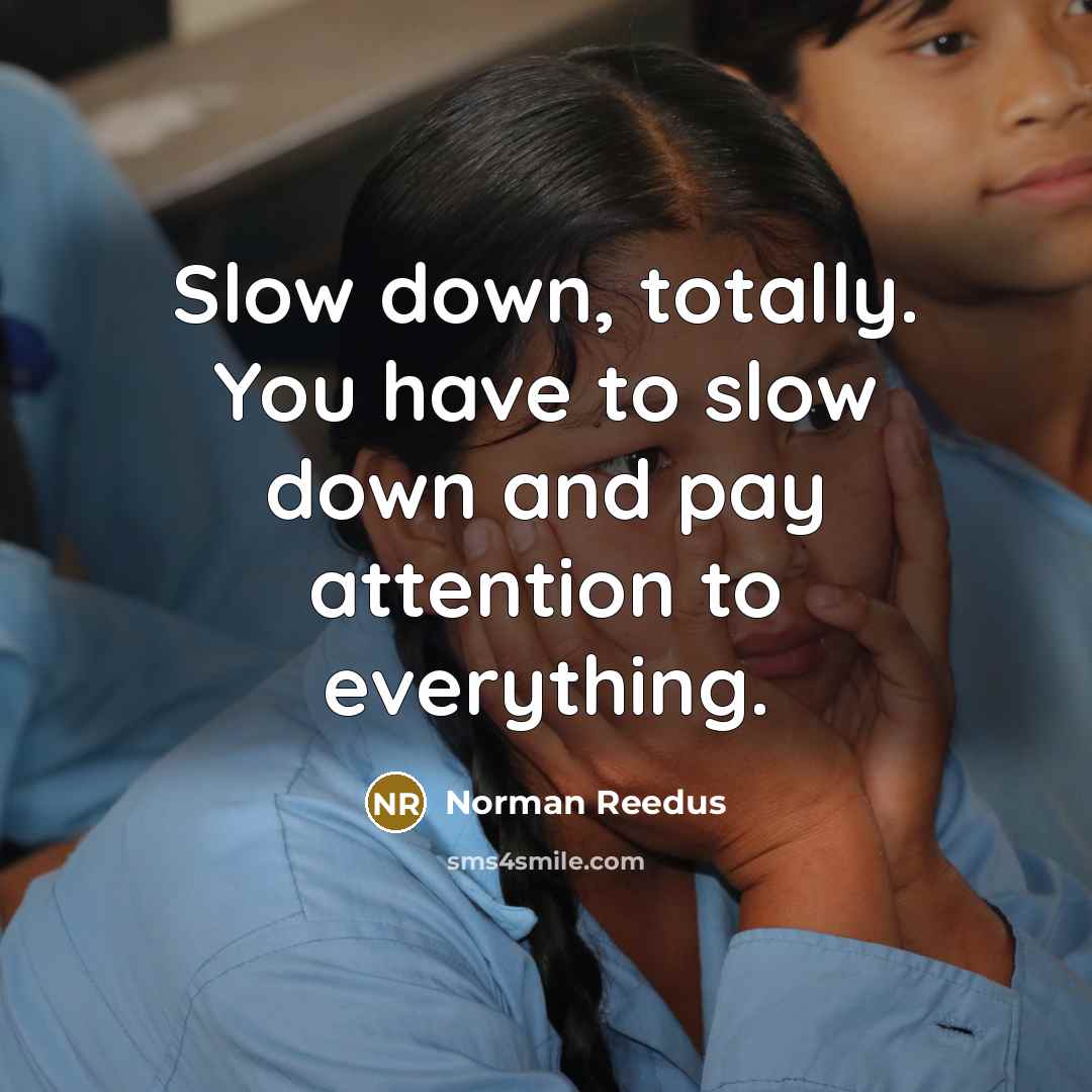 “Slow down, totally. You have to slow down and pay…” quote by Norman Reedus