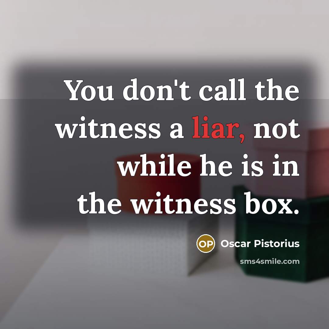 “You don't call the witness a liar, not while he…” quote by Oscar Pistorius