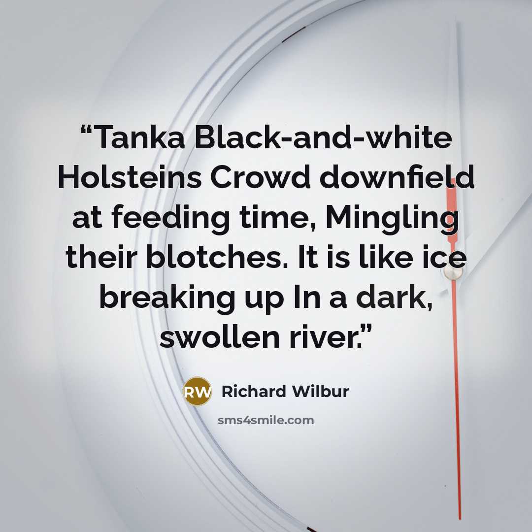 “Tanka Black-and-white Holsteins Crowd downfield at feeding time, Mingling their blotches. It is like ice breaking up In a dark, swollen river.” quote by Richard Wilbur