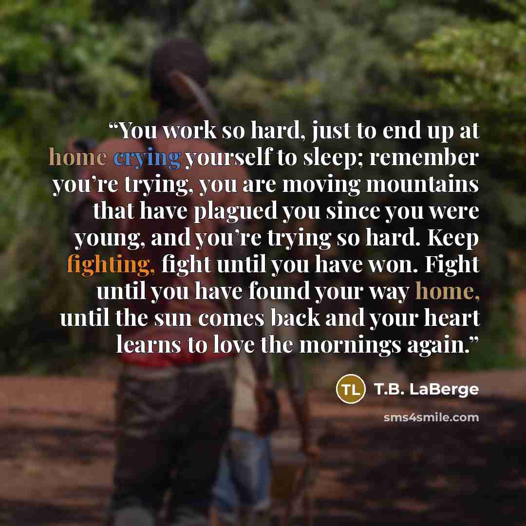 “You work so hard, just to end up at home crying yourself to sleep; remember you’re trying, you are moving mountains that have plagued you since you were young, and you’re trying so hard. Keep fighting, fight until you have won. Fight until you have found your way home, until the sun comes back and…” quote by T.B. LaBerge