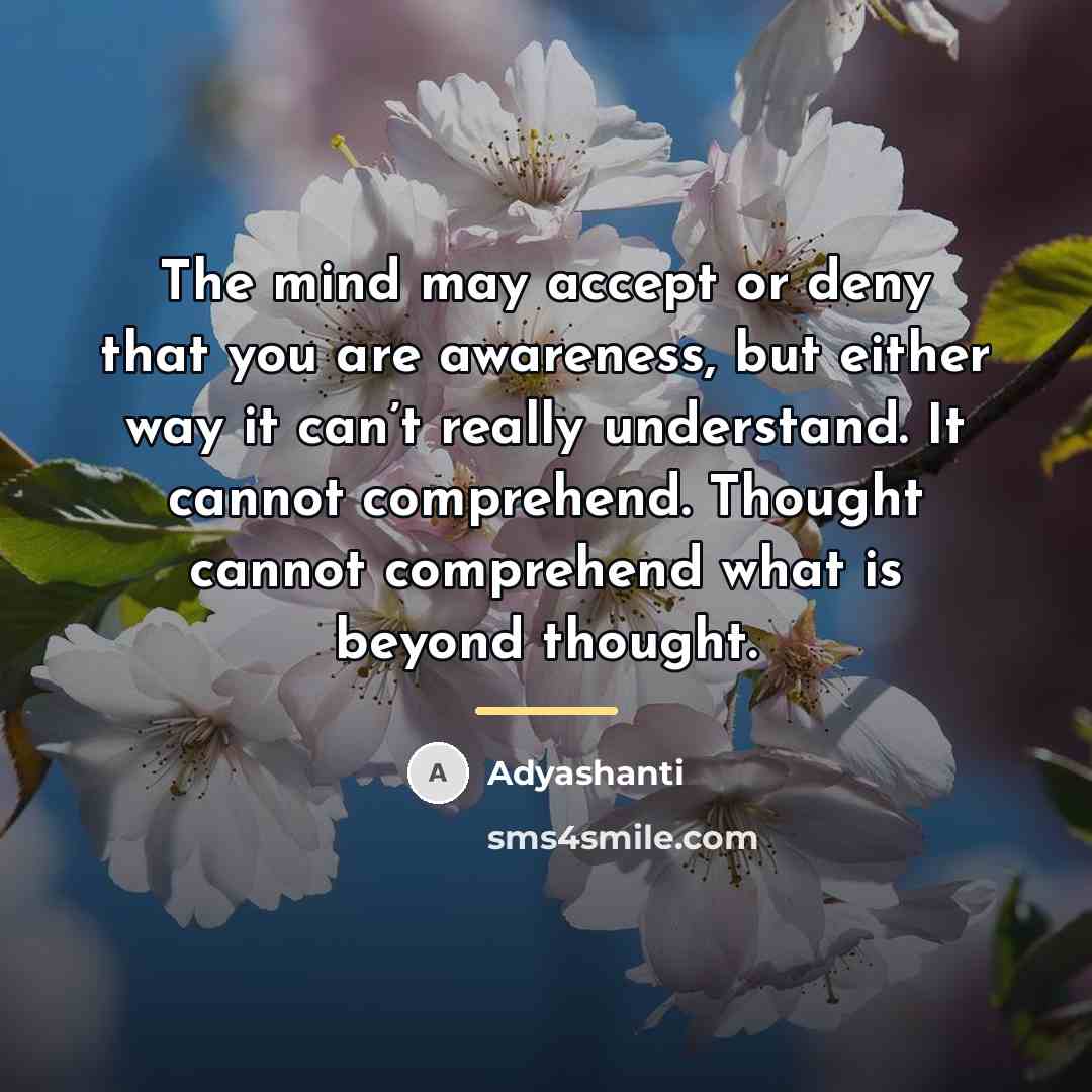 “The mind may accept or deny that you are awareness,…” quote by Adyashanti
