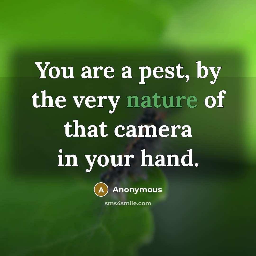 “You are a pest, by the very nature of that camera in your hand.” quote by Anonymous
