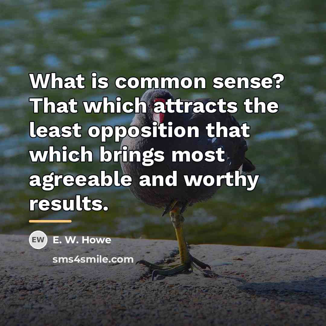 “What is common sense? That which attracts the least opposition…” quote by E. W. Howe