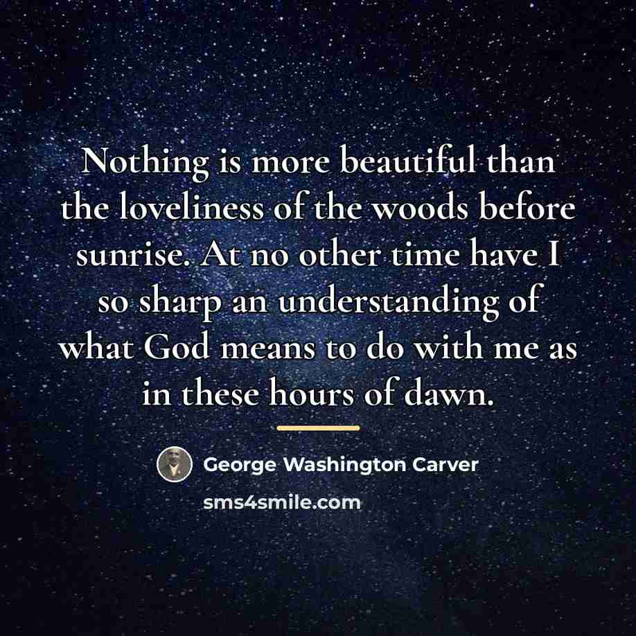 “Nothing is more beautiful than the loveliness of the woods…” quote by George Washington Carver