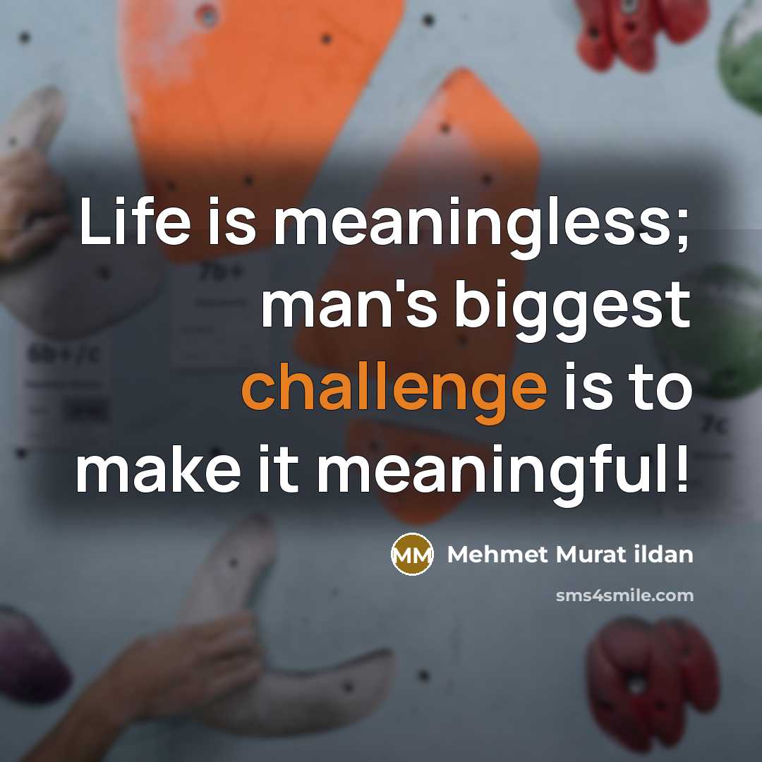 “Life is meaningless; man's biggest challenge is to make it…” quote by Mehmet Murat Ildan