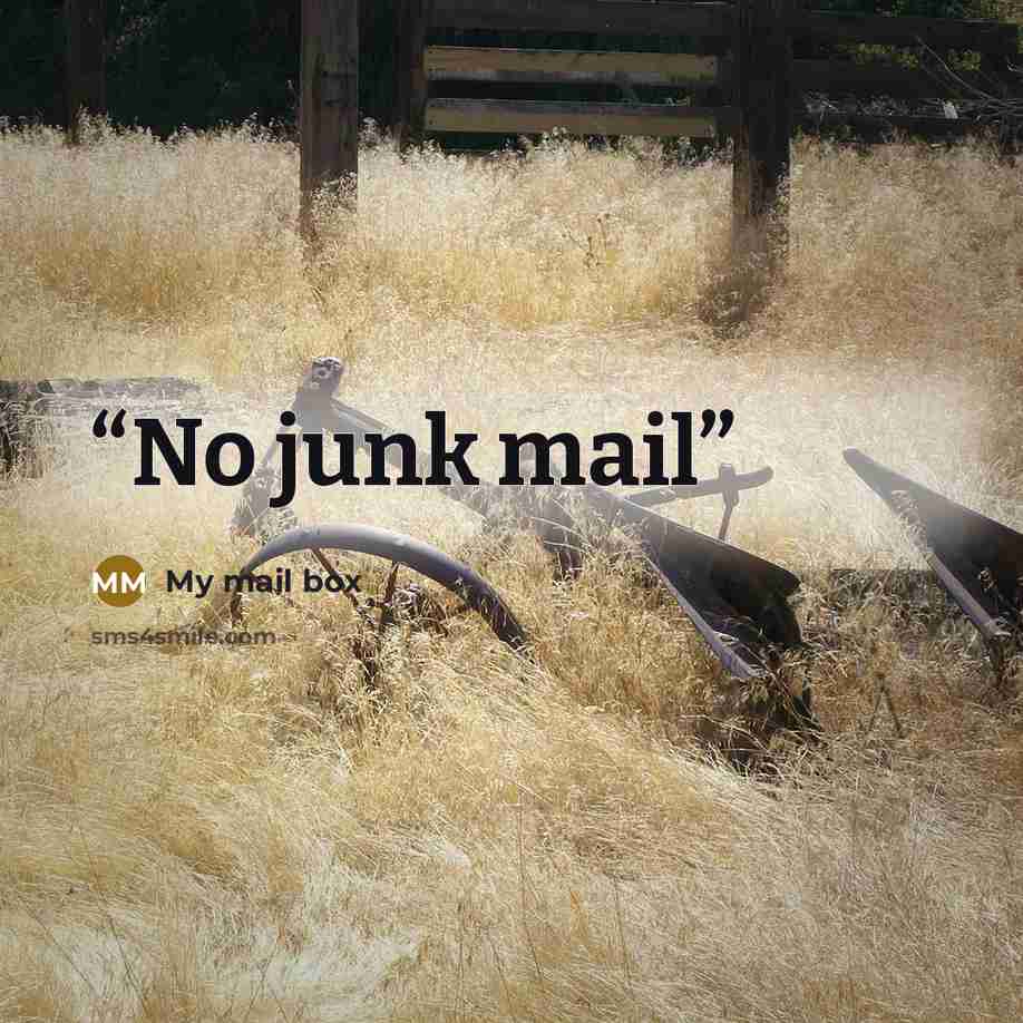 “No junk mail” quote by My mail box