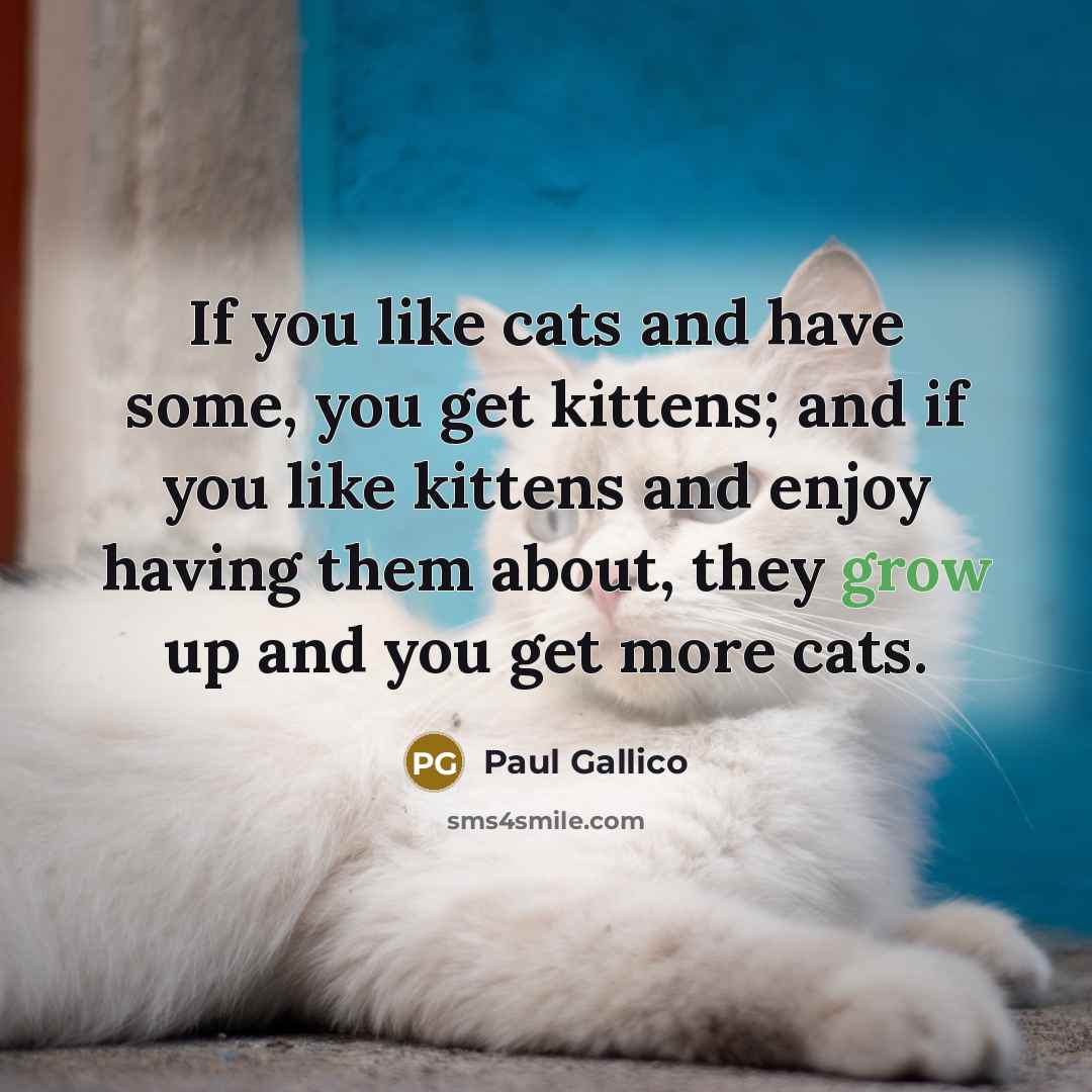 “If you like cats and have some, you get kittens;…” quote by Paul Gallico